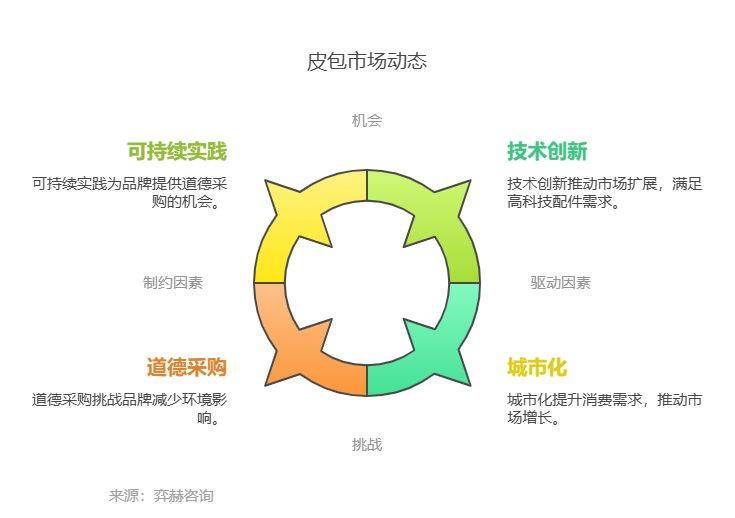 全面分析2025年皮包市场(图3)