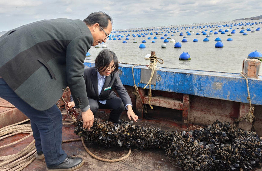 浙江农行做好普惠金融大文章(图1)
